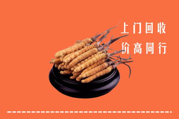 高价求购：洮南回收散虫草