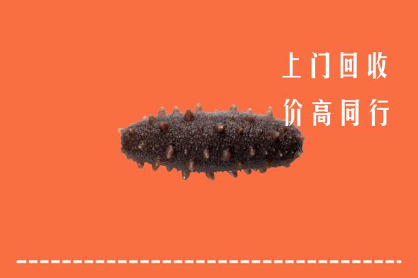 高价求购：洮南回收海参