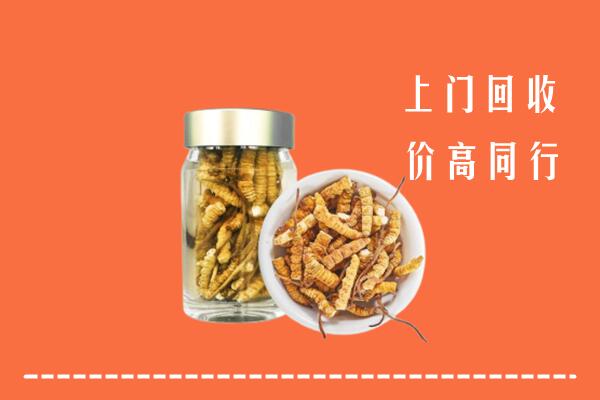 洮南回收冬虫夏草