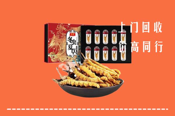 洮南高价回收虫草